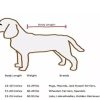 Dog dryer bag. Pet accessories. Quickly and easily dry.