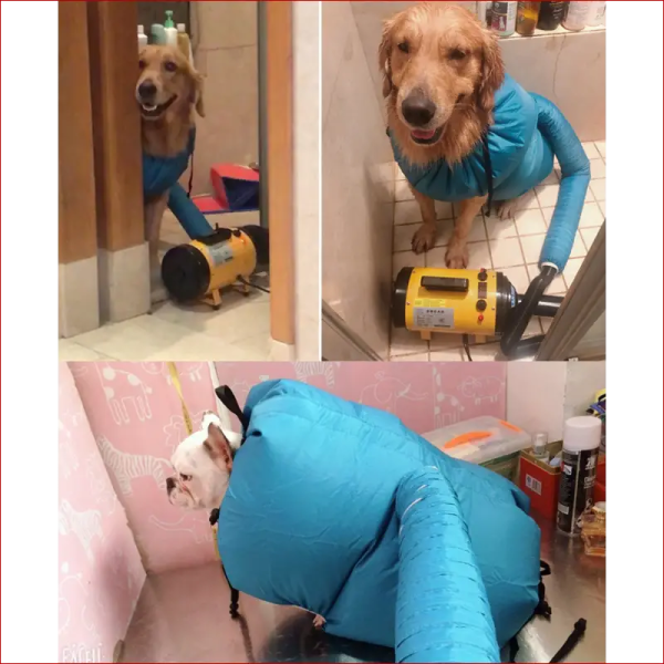 Dog dryer bag. Pet accessories. Quickly and easily dry.