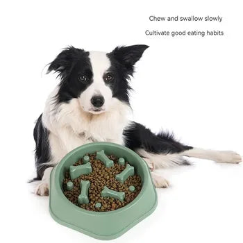 Dog Food Plate