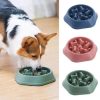 Dog Food Plate
