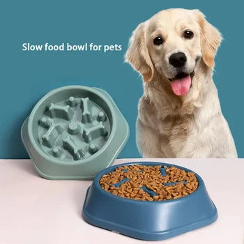 Dog Food Plate