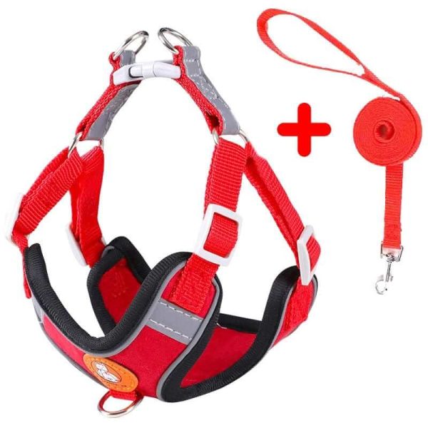 Dog Harness and Leash