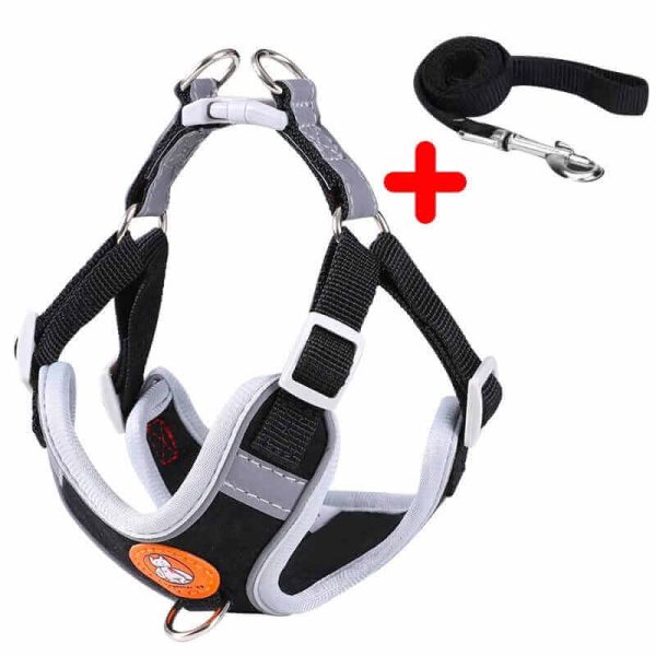 Dog Harness and Leash