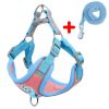 Dog Harness and Leash