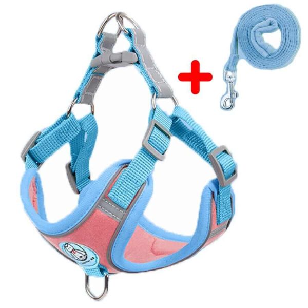 Dog Harness and Leash