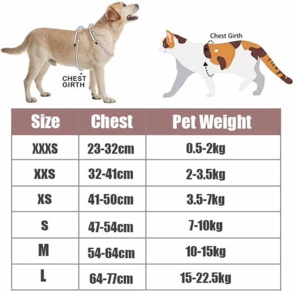 Dog Harness and Leash