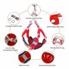 Dog Harness and Leash