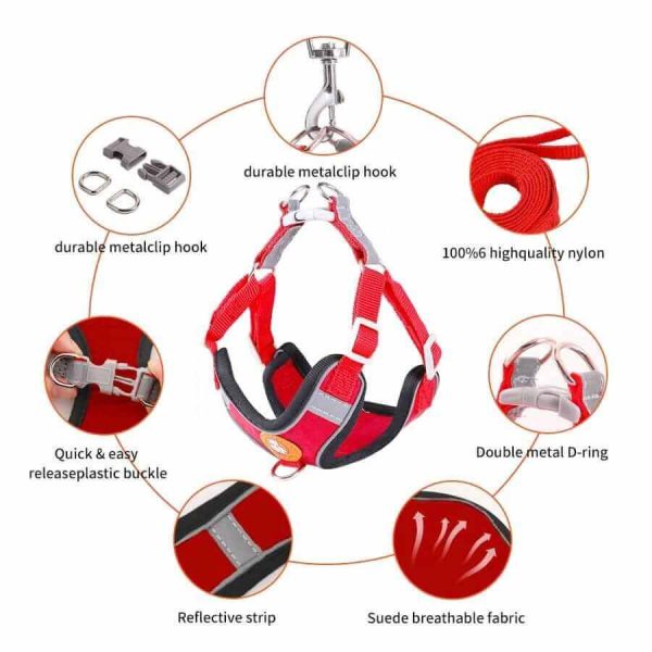 Dog Harness and Leash