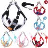 Dog Harness and Leash
