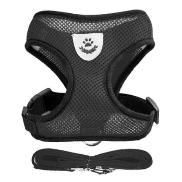 Dog Harness with Leash