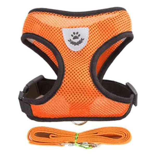 Dog Harness with Leash