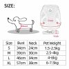 Dog Harness with Leash