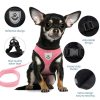 Dog Harness with Leash