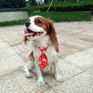 Dog Holiday Neckties