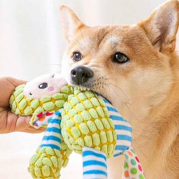 Dog Plush Bite Toy