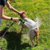 Dog Shower Gun with 3 Mode