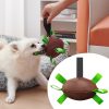 Doggy Football Toy
