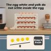 Egg Storage Box