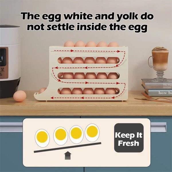 Egg Storage Box
