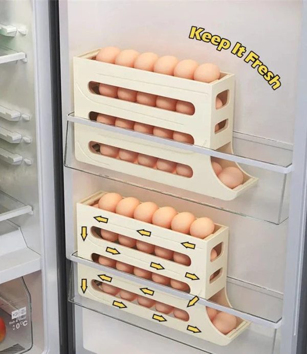 Egg Storage Box