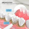 Electric Dental Calculus Remover