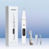 Electric Dental Calculus Remover