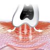 Electric Facial Massage Skincare Tool