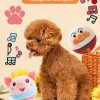 Electric Plush Toy Ball - Interactive Pet Toy for Dogs