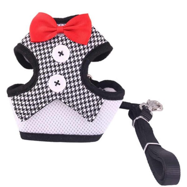Elegant Dog Harness