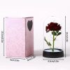 Enchanted Red Rose In Glass Dome