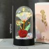 Enchanted Red Rose In Glass Dome