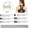 Ergonomic Posture Support Belt