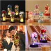 Eternal Galaxy Rose with LED Lights Romantic Gift for Valentine’s Day and Wedding