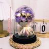 Eternal LED Rose Acrylic Dome Decor