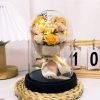 Eternal LED Rose Acrylic Dome Decor