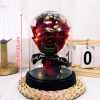 Eternal LED Rose Acrylic Dome Decor