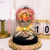 Eternal LED Rose Acrylic Dome Decor