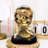 Eternal LED Rose Acrylic Dome Decor