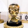 Eternal LED Rose Acrylic Dome Decor