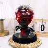 Eternal LED Rose Acrylic Dome Decor
