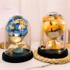 Eternal LED Rose Acrylic Dome Decor