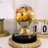 Eternal LED Rose Acrylic Dome Decor