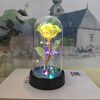 Eternal LED Rose in Glass Dome for Valentine's Day, Wedding, and Romantic Gifts
