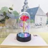 Eternal LED Rose in Glass Dome for Valentine's Day, Wedding, and Romantic Gifts