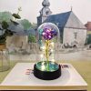 Eternal LED Rose in Glass Dome for Valentine's Day, Wedding, and Romantic Gifts