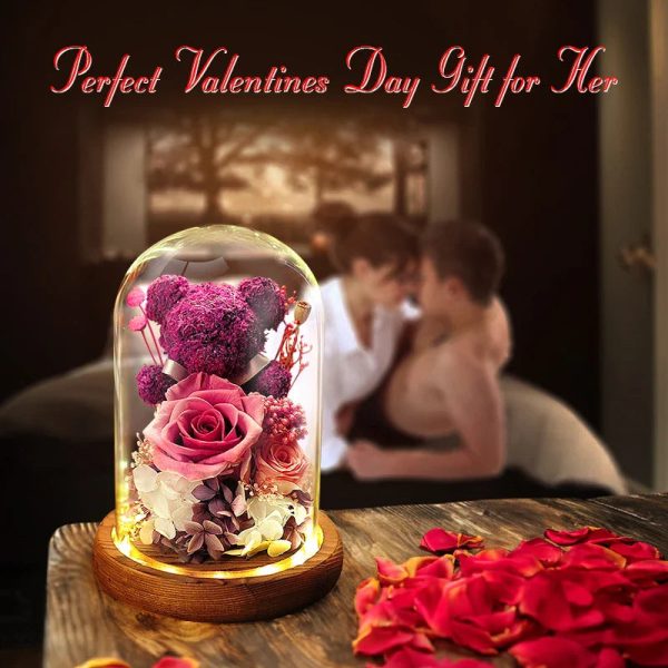 Eternal Preserved Rose Teddy Bear Gift Box with Lights