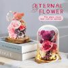 Eternal Preserved Rose Teddy Bear Gift Box with Lights