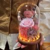 Eternal Preserved Rose Teddy Bear Gift Box with Lights