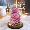 Eternal Preserved Rose Teddy Bear Gift Box with Lights