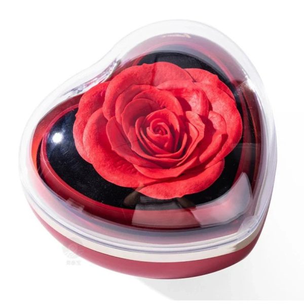 Eternal Red Rose Necklace in Preserved Flower Gift Box for Women Birthday and Valentine’s Day